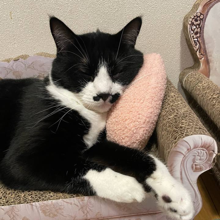 A4e35ac3 2a93 4e31 aea2 cc585a979059 1691416752107