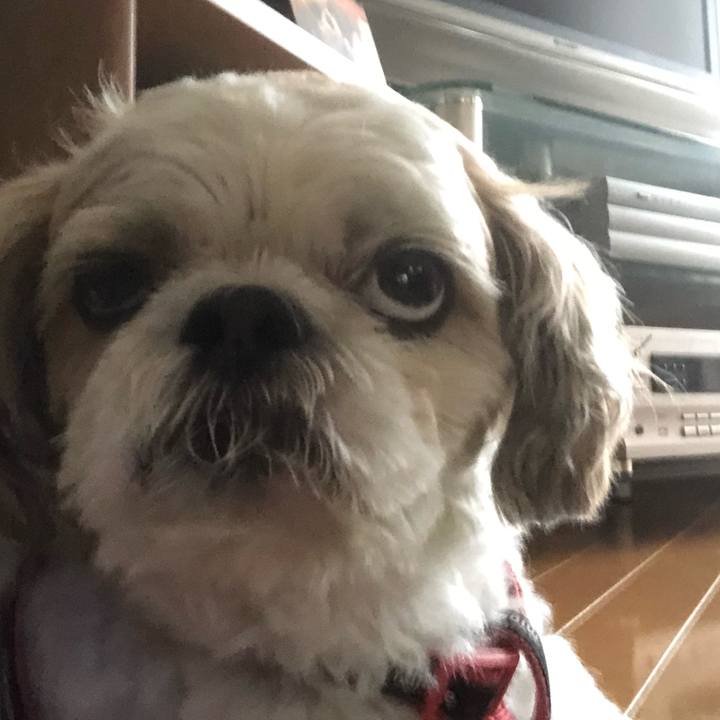 A4e36fd5 ab0f 4339 914e 3fa464c7a5b5 1600810854530