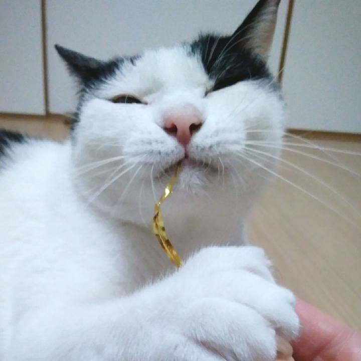 A4e3c714 0f88 4a3a 8cd8 35053b65796a 1552907050242