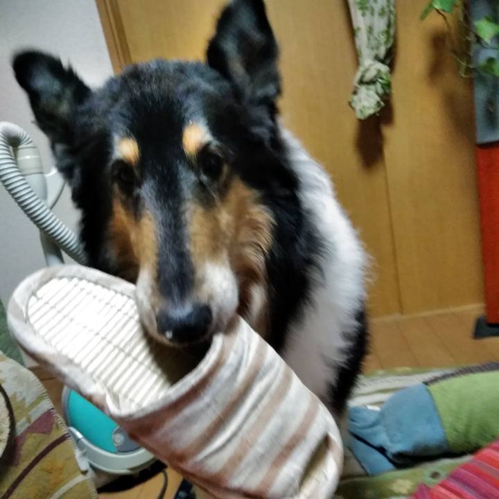 A4e3c899 c58b 45ef 8b4f 9305ef6a3c46 1542718792820