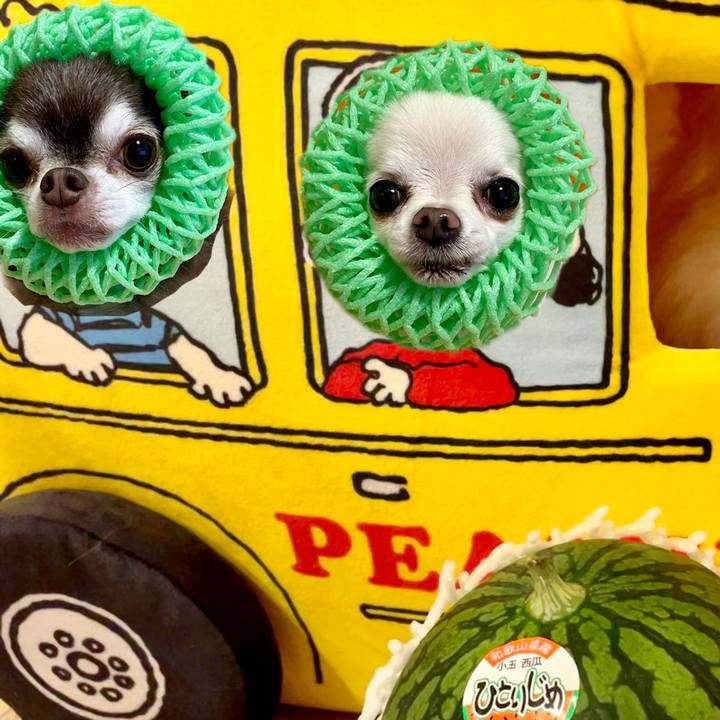 A4e43a0c e5c4 42a5 88f7 42e896440b38 1624240622356