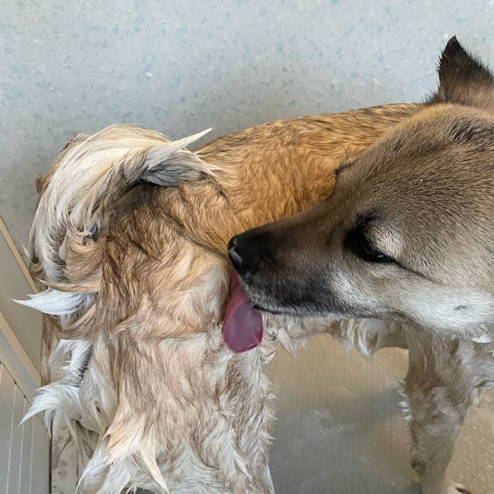 A4e447d4 5ac2 4373 9c53 914635e2d4fa 1646478919180