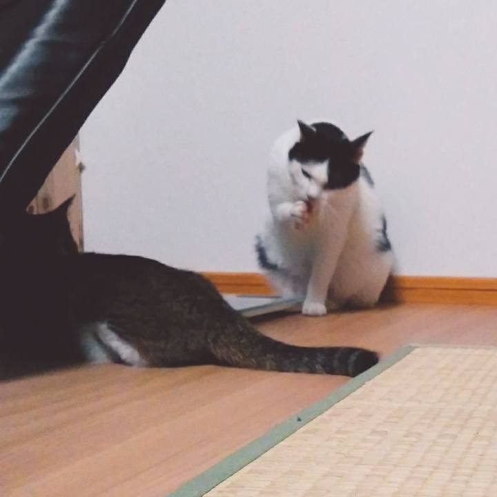 A4e4530c ff60 478b bdc4 4f26be1a9cab 1533899116820