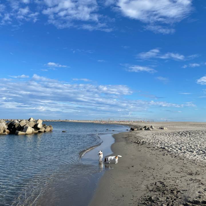 A4e48352 da11 488d bb6a b173ab7b5096 1632266825953