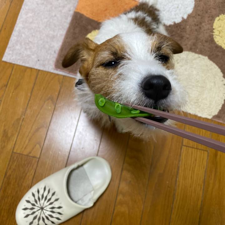 A4e49b66 2643 4a0d 90c0 79311e7cf234 1739278566127