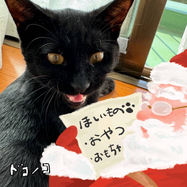 A4e4c3ea 1fb1 4112 b47f 493a3638e91a 1729140046855