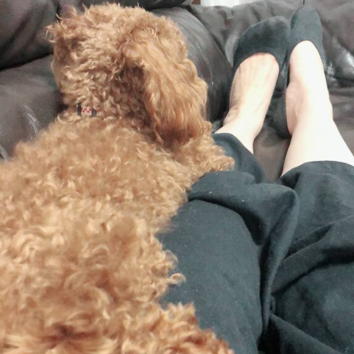 A4e4d556 1aca 4e87 a05f 818358f39096 1524833307627