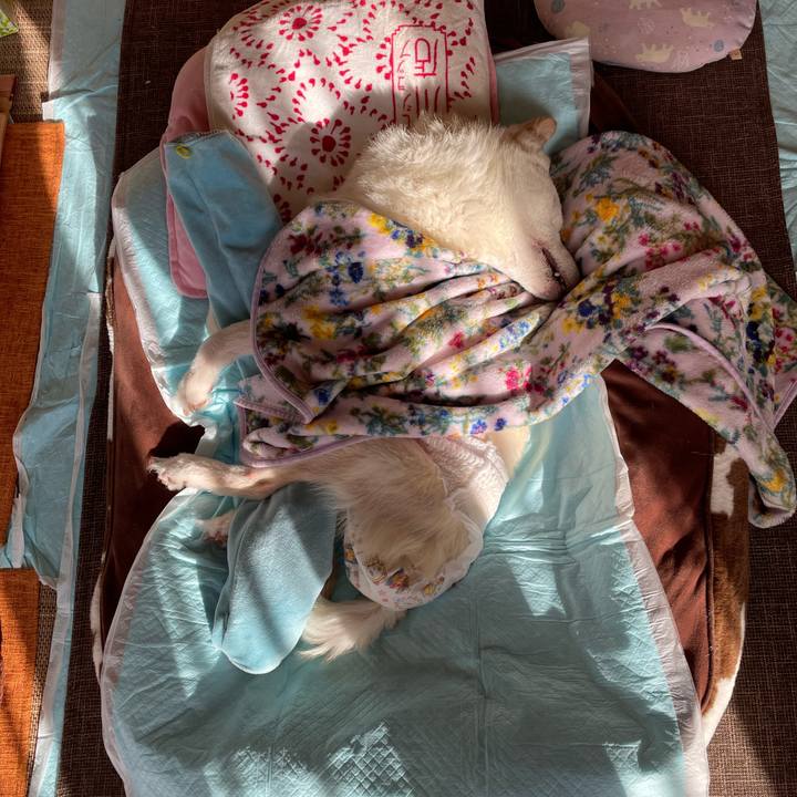 A4e4fc4b 9a31 44d8 b266 129015126abb 1673398697211