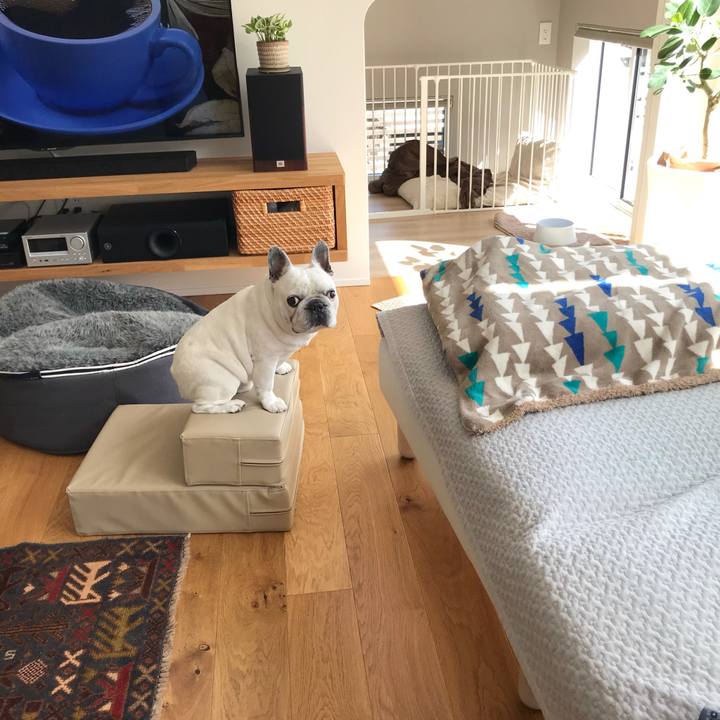 A4e508b5 db7b 4dde b14c 0beb0d5bd335 1619535891229