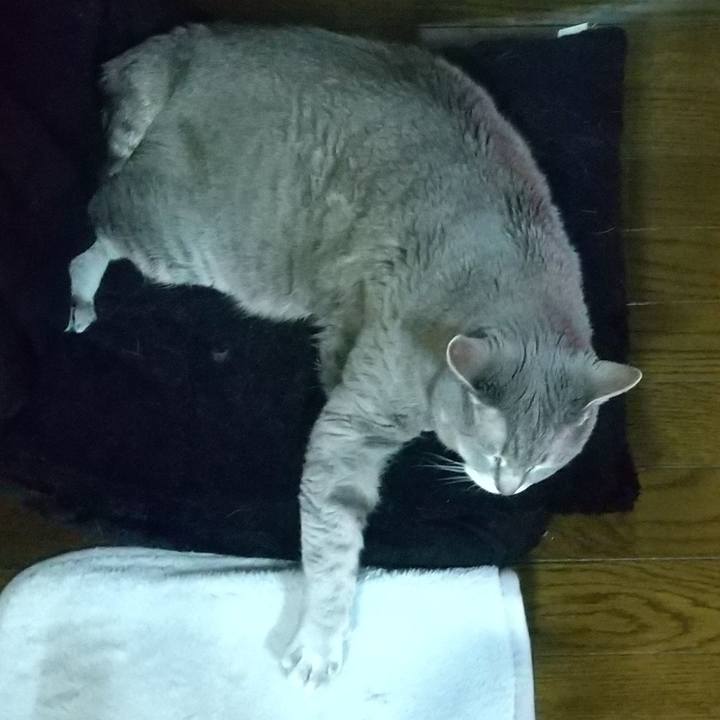 A4e50e36 c141 4354 9352 5a0b200b7609 1649328095308