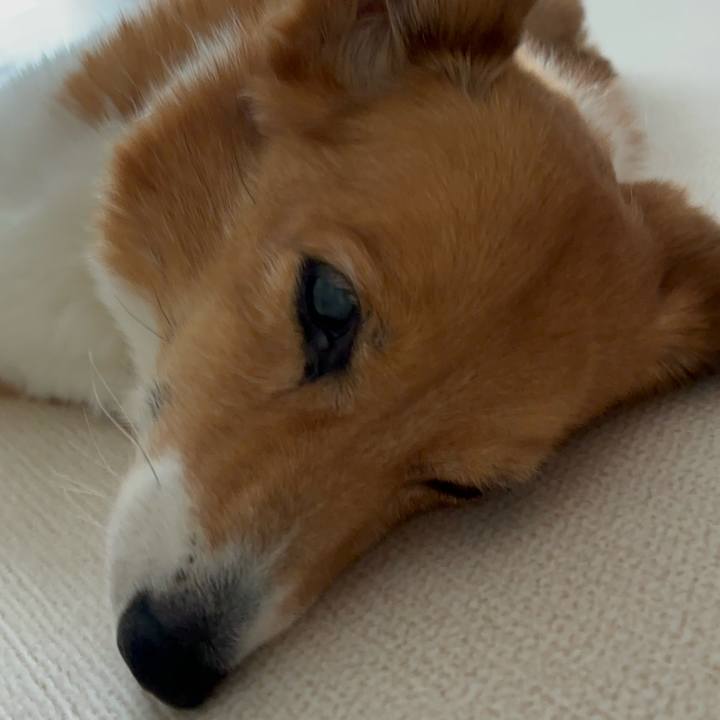 A4e53d64 4719 421d ba3f 0eb0aaf51ccc 1754875931909