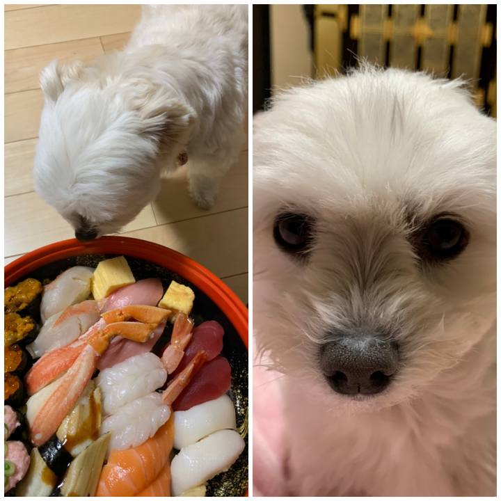 A4e56622 b968 4f08 9b5b 6b96ecd35b3b 1577532514711