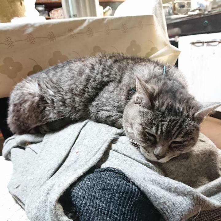 A4e579bc 5679 44b6 862f 265840ea5249 1575799017573