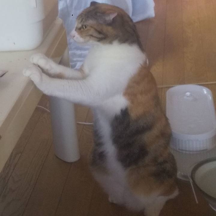 A4e57c56 aca0 4f4f a243 2b1b955b3524 1752549144550