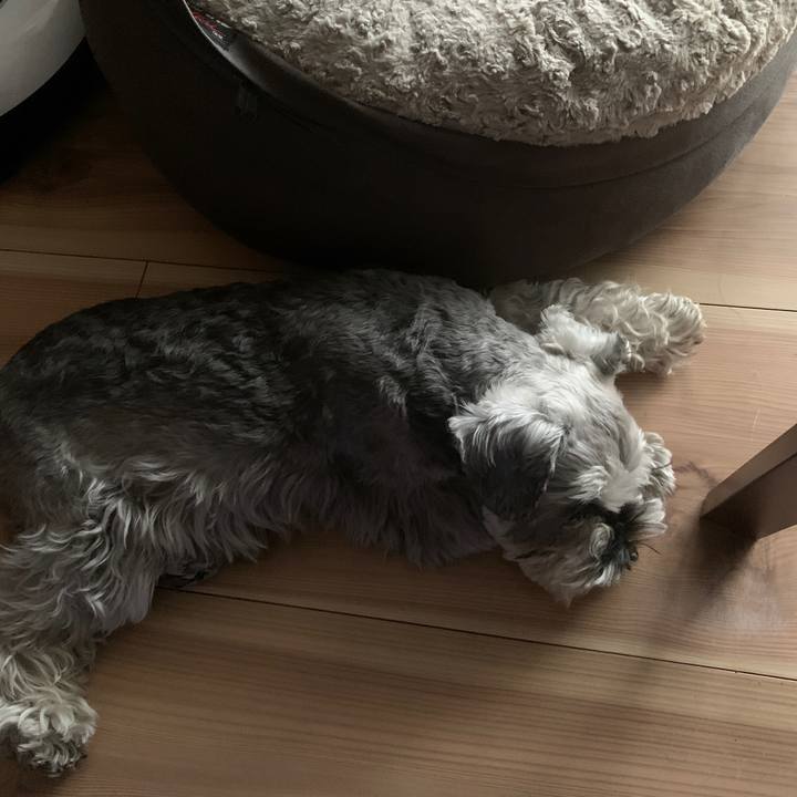 A4e57d08 f9e3 4280 bc96 f4485d59d387 1678431297713