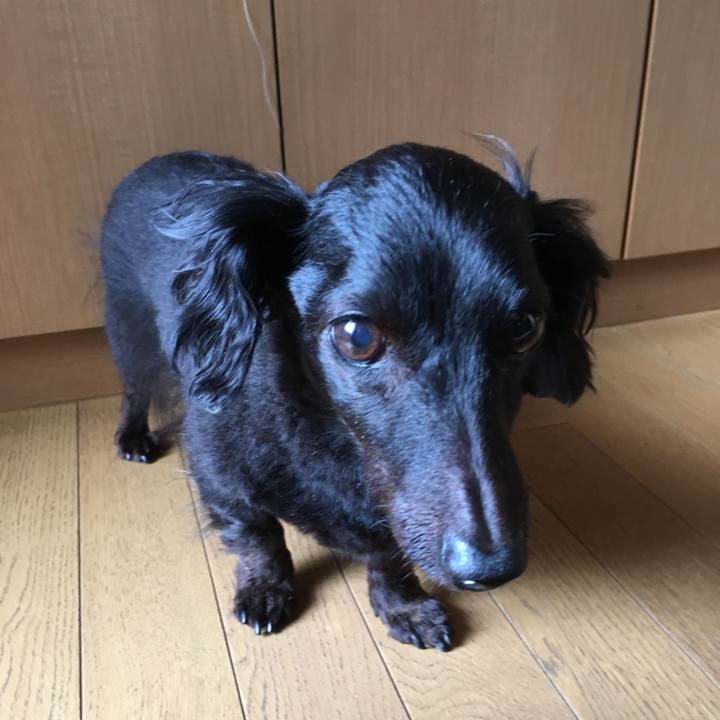 A4e58b7a f9e3 4d30 a89c 6fcc9a2c91bc 1530484569467