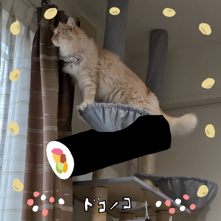 A4e5994f 7422 4e2a 9df5 f48342ee84ca 1741069926362