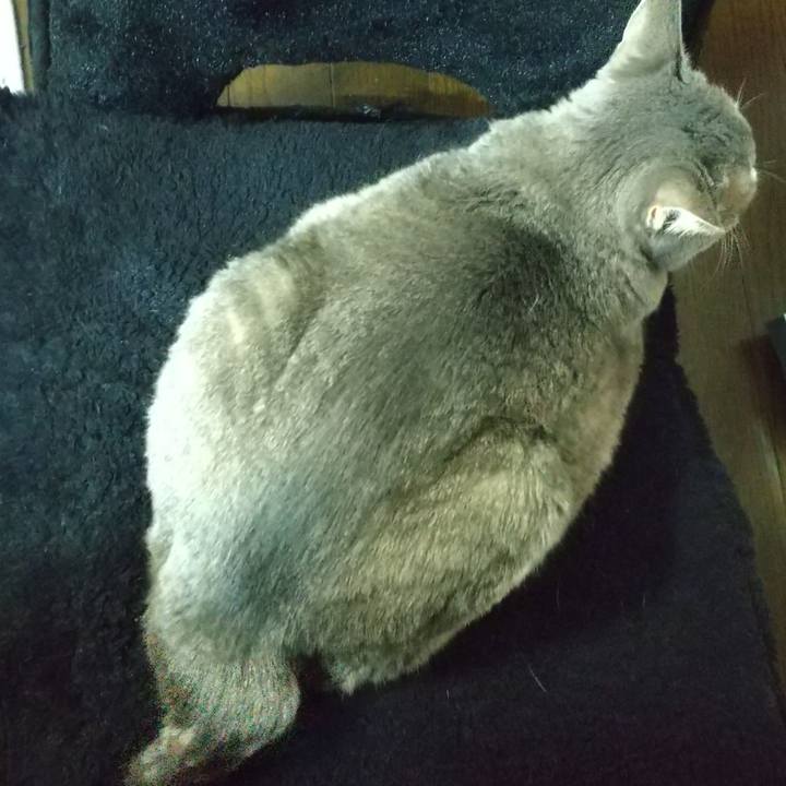 A4e5c35a d363 4bf8 ba96 fcfb79e77091 1638181709782