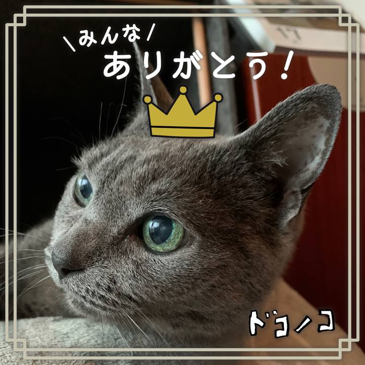 A4e5c6c2 8da0 42da a9fc d0e065bfecb4 1623105098312