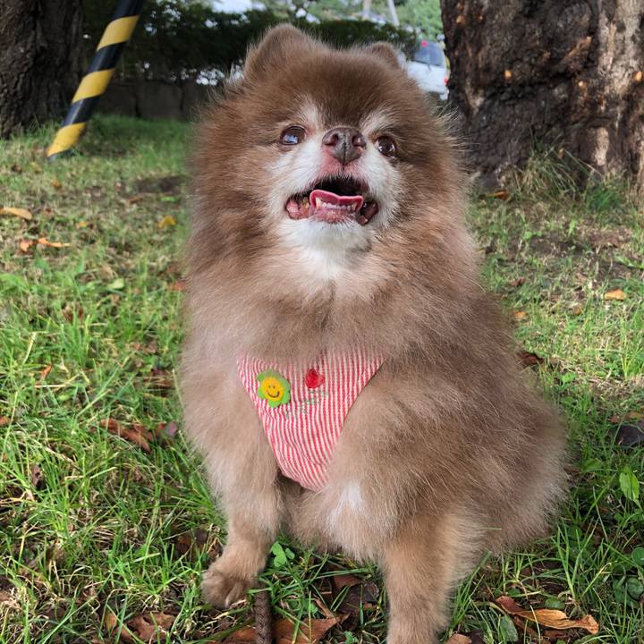 A4e5d8d2 1494 4005 b6b9 c171e71b71b5 1633306741324