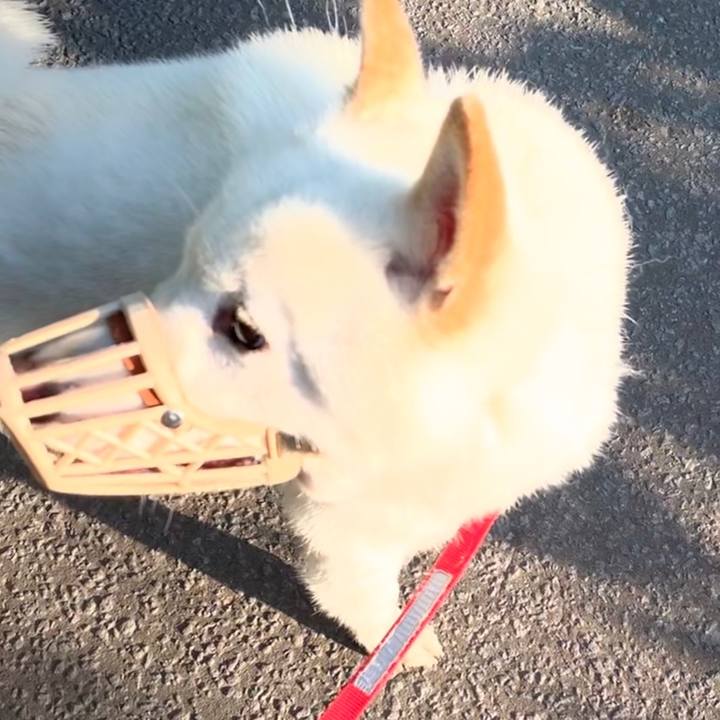 A4e5fc0a b765 47c1 81d2 cdab2f86a261 1560469340982