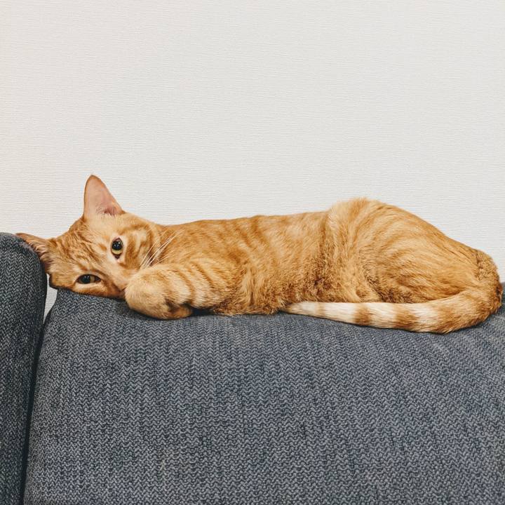 A4e60339 c88e 4b04 ace1 184c421b315d 1629986833444