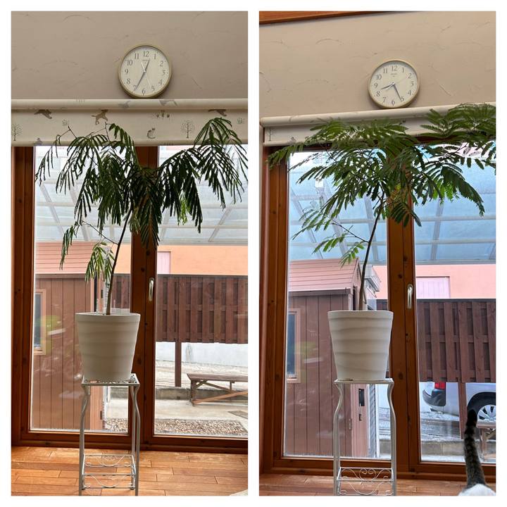 A4e624b5 fc44 42f0 b98a f28681cd294b 1675553326302