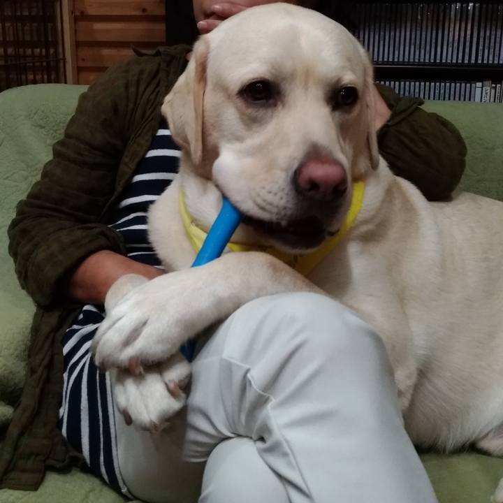 A4e6600e 896e 43c4 972c 2eebbe00b183 1542041639878