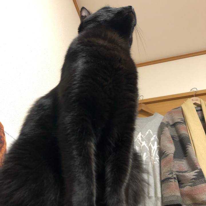 A4e6cadb 0926 416d 8e82 21b40044d1ac 1555593167155