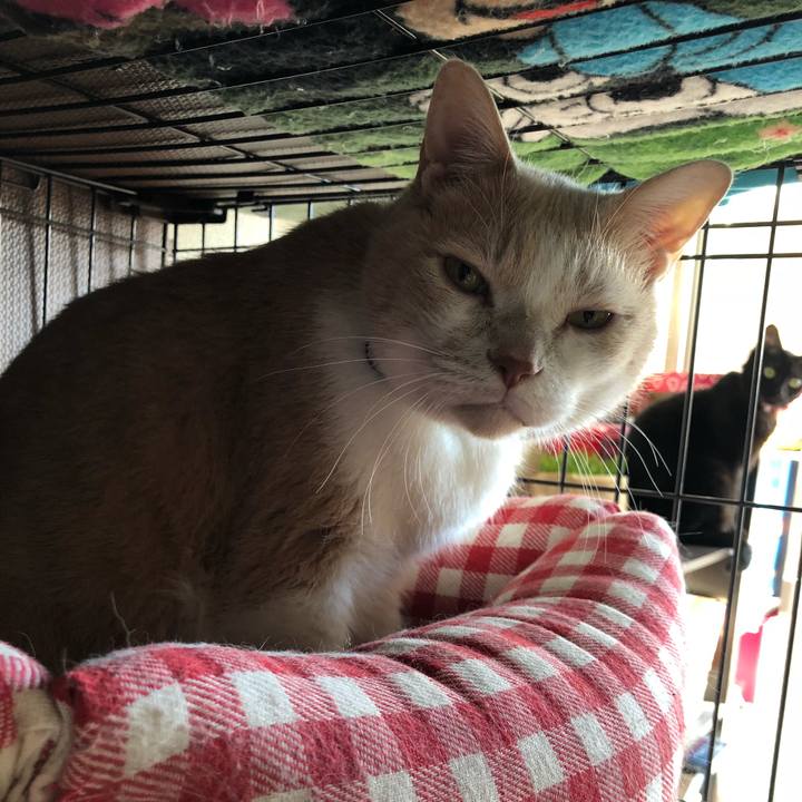 A4e6d289 8c90 4940 b5e3 51bbcb69d68d 1513474072530