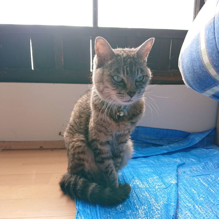 A4e6d922 d67a 4db7 ae89 beb182fbdd9b 1570239917597