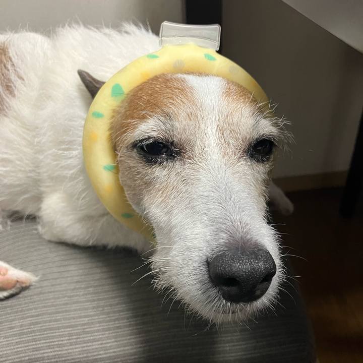 A4e6da62 0ad0 4208 80a3 e21b179fdec3 1689550488855