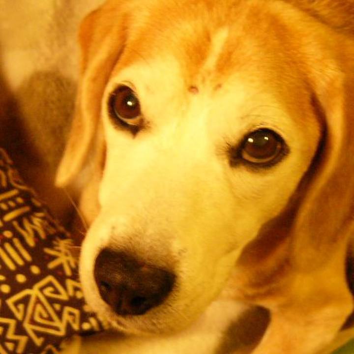 A4e6f069 23c1 46e6 88ba 6d85e00c6e94 1673313639779