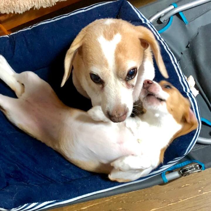 A4e6f287 66d1 48ef 80f5 2bd8b53bf18a 1561711294910