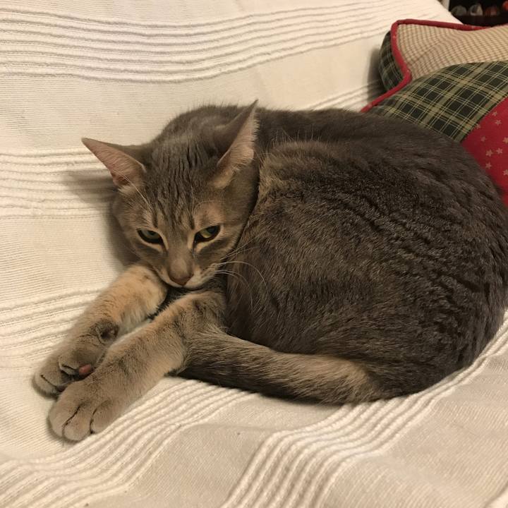 A4e6f697 ffe2 4fc9 acfb 05d08d2c51f8 1578434493854