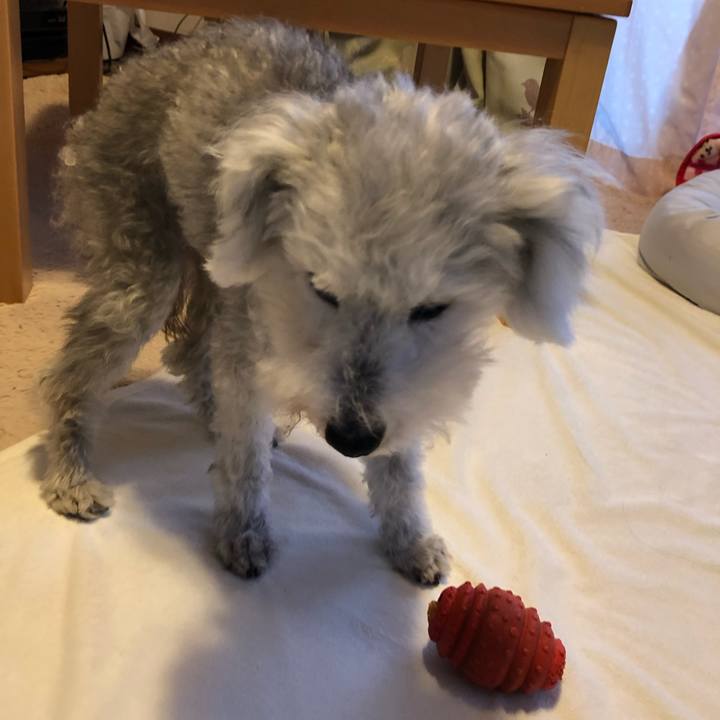 A4e6fb57 8994 4806 be6c 9e127ecb431c 1636415959477