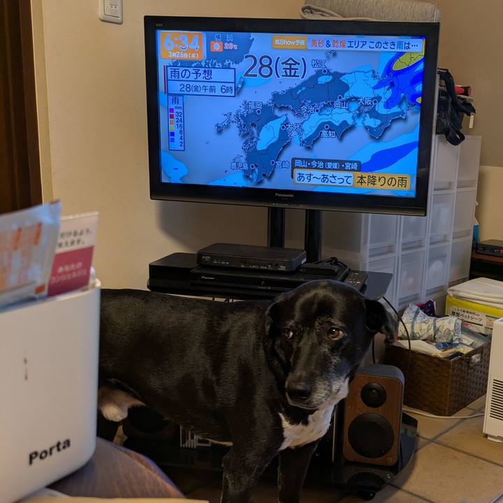 A4e71d9a b1c6 42f5 b9a8 3ae562bba05f 1742948111099