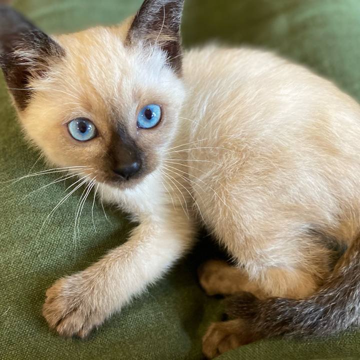 A4e724a2 d906 4e3e 9e74 33fca8eb583c 1686294338770