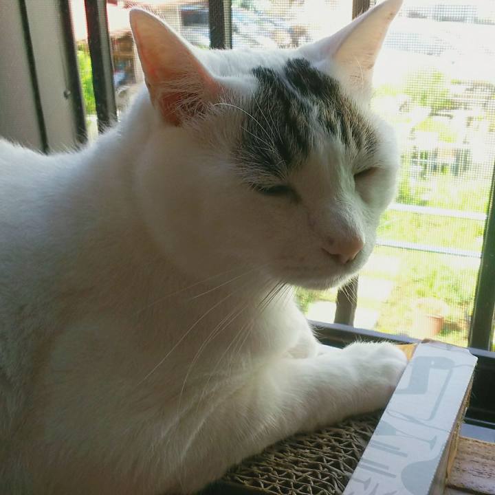 A4e74550 2f19 46e3 8e53 33af6775a711 1530025822777