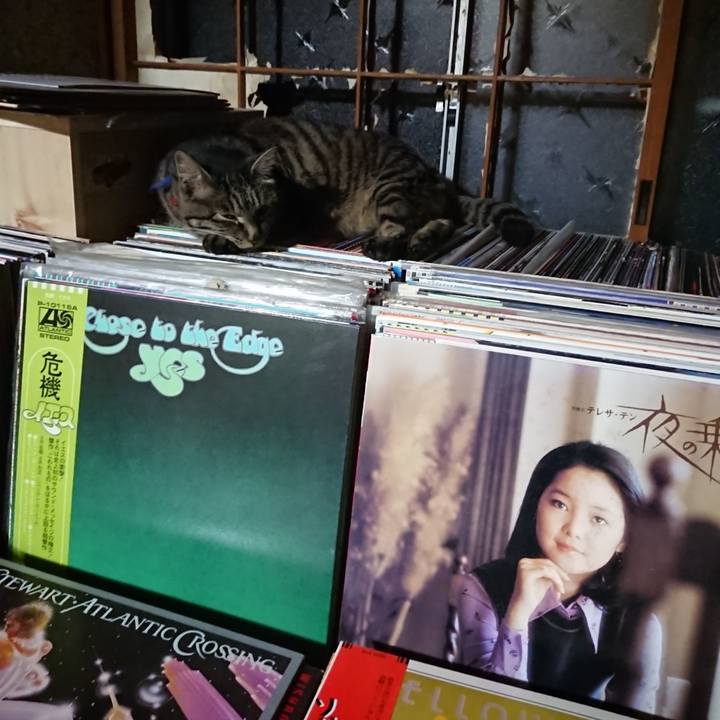 A4e778f0 4a3e 468a bbbf 1fb9e500e849 1656334108443