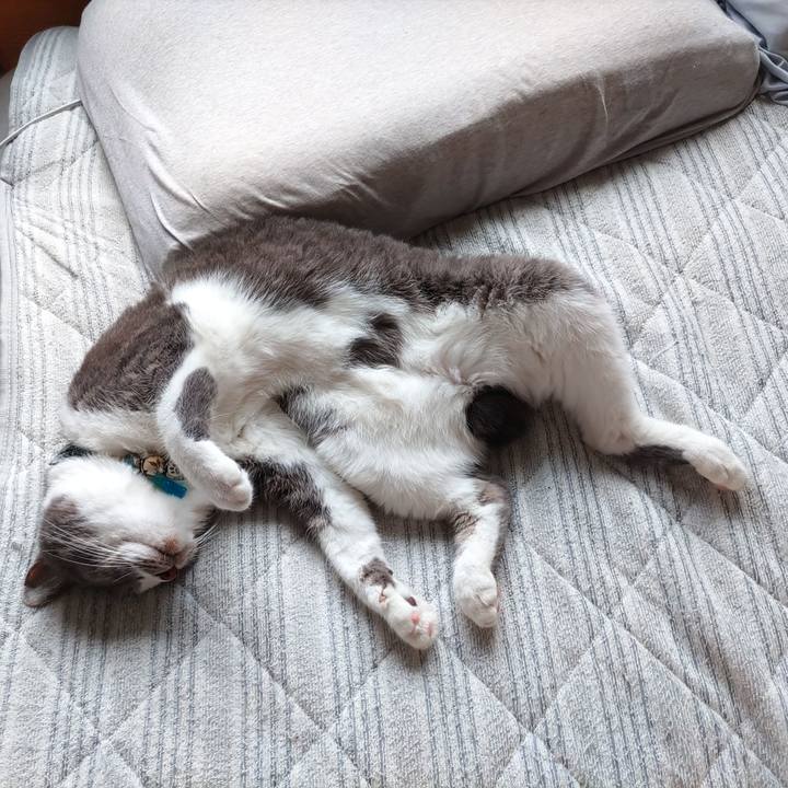 A4e7912d 97b5 40b6 8bed 7a31c5ba22c4 1721176780738