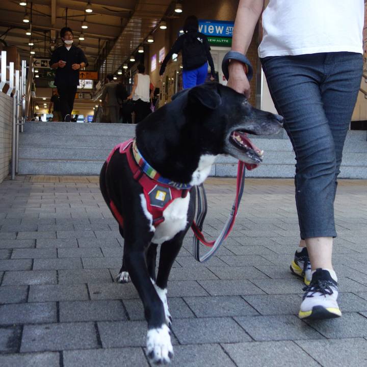 A4e7a940 3593 4e7a bdaf 2f1c6eae1595 1693010347391