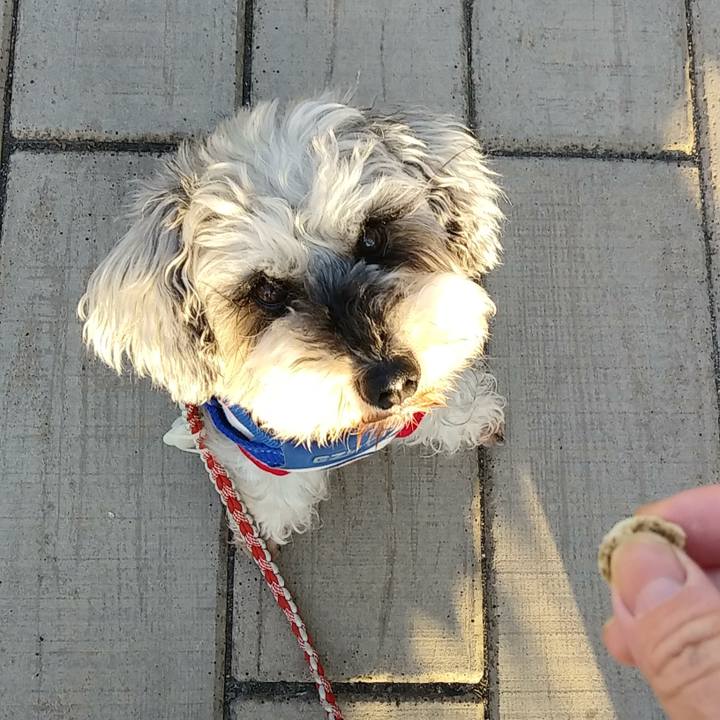 A4e84beb 9799 4b5e 8ab6 d98a5746009b 1649544202167