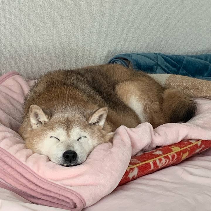 A4e85a0d 362d 4030 8989 43021f12862a 1675089783819