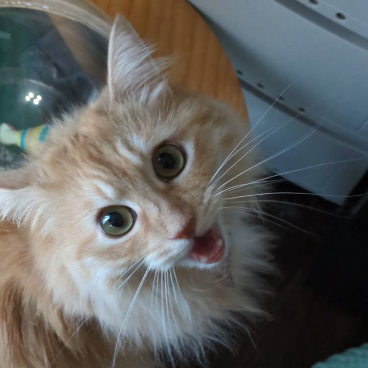 A4e881c6 34e3 4ae2 b9ab 24746998930f 1755258673154