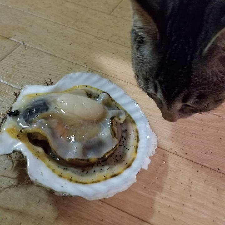 A4e8b02e f63e 4693 a97c 9bcadcecf293 1672465265228