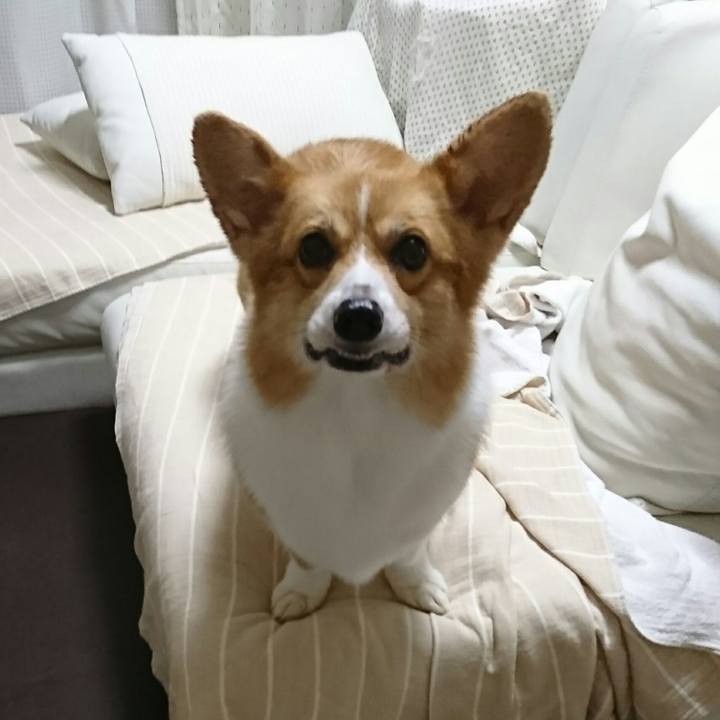 A4e8e0c4 7130 414b beed b9aeb4f2d45e 1537528484481