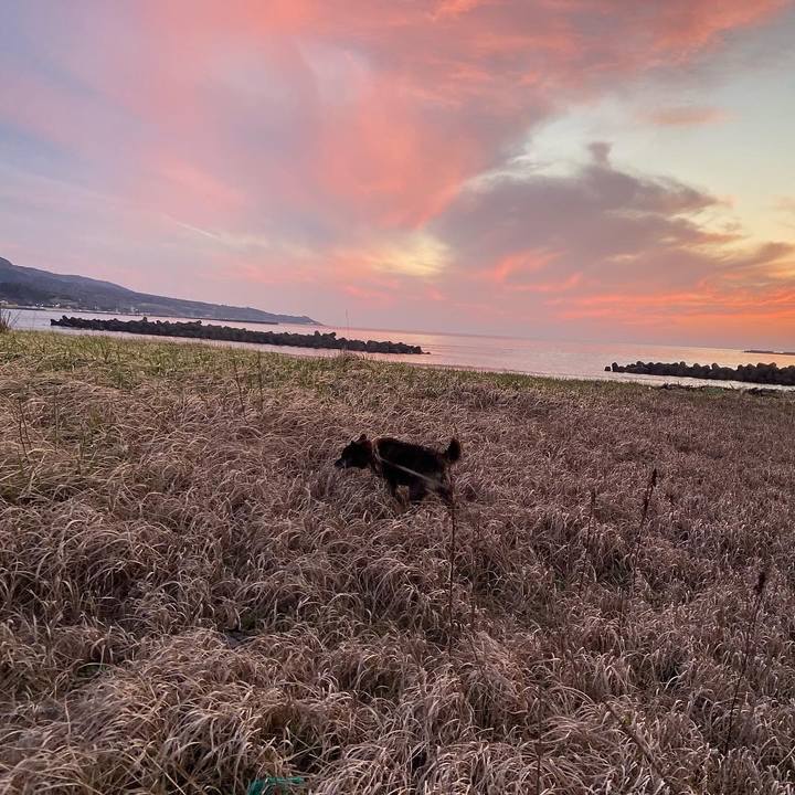 A4e95488 c1cc 4bbf 8604 b6f1d880537b 1584611618976