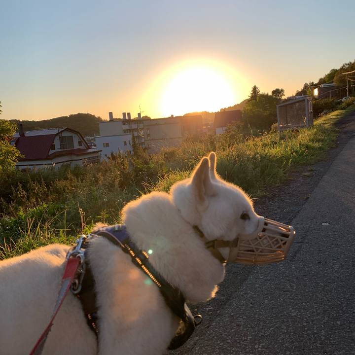 A4e965df 58e0 4036 ac46 c9cdc02adc07 1631653338531