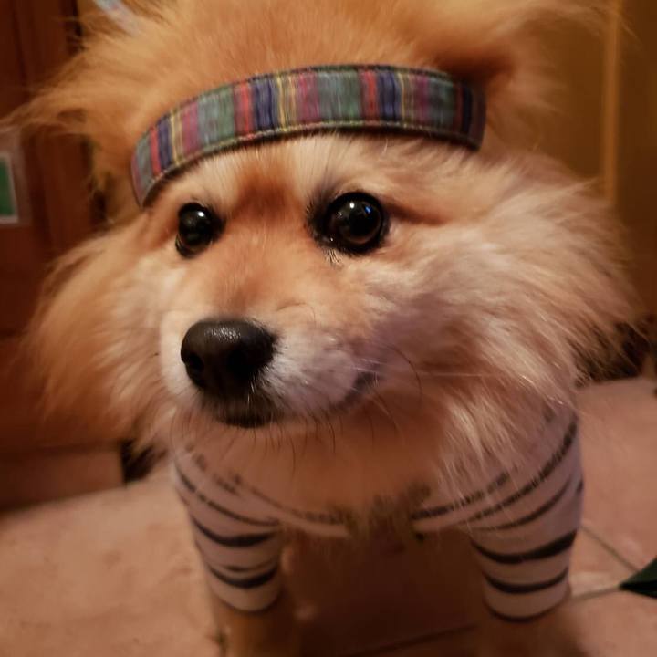 A4e96db4 e441 4cbb 9e62 e6931d2dafb3 1587209232013